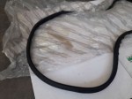 73996 image