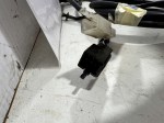 74203 image