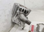 74798 image