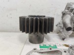 74798 image