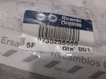 75509 image