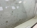 75884 image