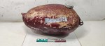 75951 image
