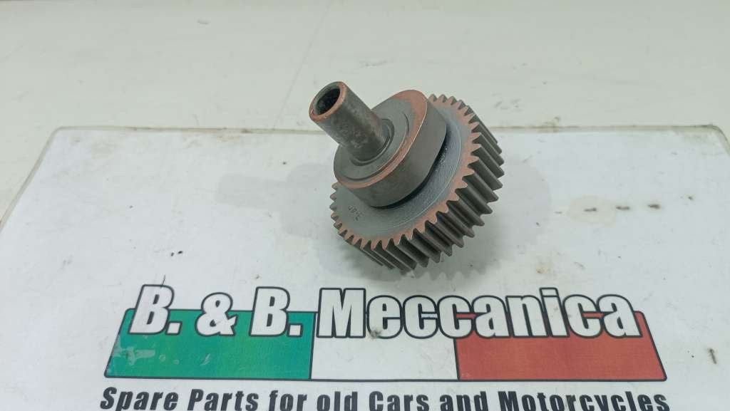 76241 image