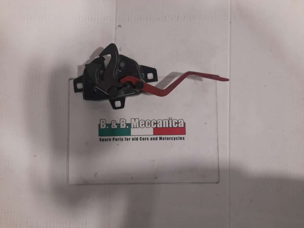 76295 image