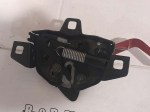 76295 image
