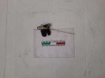 76391 image