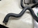 77648 image