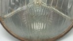 77651 image