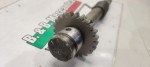 78432 image