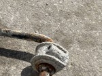 83771 image