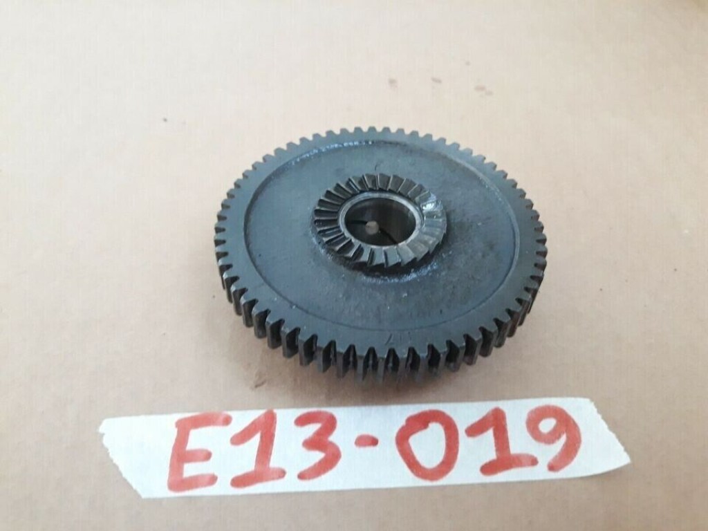 E13-019 image