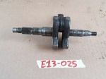 E13-025 image