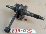 E13-025 image