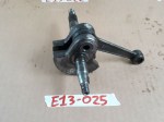 E13-025 image