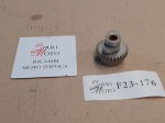 F23-176 image