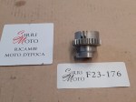 F23-176 image