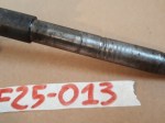 F25-013 image