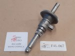 F41-067 image