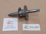 F41-069 image