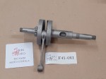 F41-081 image