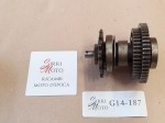 G14-187 image