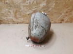G29-006 image