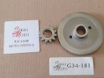 G34-181 image