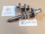 G34-219 image