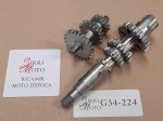 G34-224 image