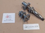 G34-229 image