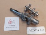 G34-229 image