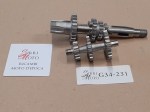 G34-231 image