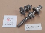 G34-231 image