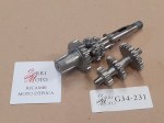 G34-231 image