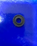 IMG-1598-1024