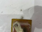 IMG-6669-1024