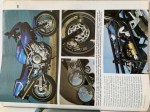 IMG-8306-1024