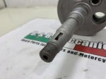 IMG-8845-1024