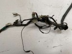 IMG_0162-102450