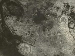 IMG_0764-102488