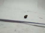 IMG_20181009_093308-1024