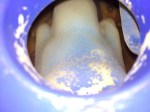 IMG_20191220_084957-1024