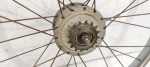 IMG_20210610_161724-1024