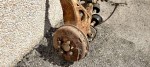 IMG_20210727_154726-1024