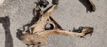 IMG_20210727_154858-1024