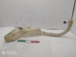 IMG_20211227_094754