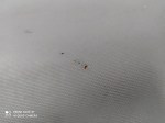 IMG_20220117_160640