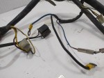 IMG_20220228_095337