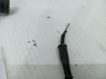 IMG_20220318_104806-1024